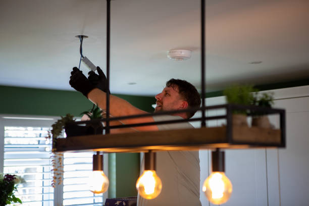 Best Home Electrical Repair  in Brooksi, DE